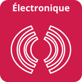 Logo de l'offre de logiciels de calcul électronique ANSYS distribué par DYNAS+