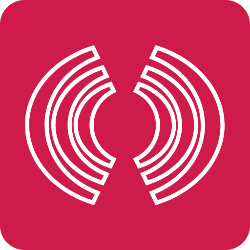 Logo de l'offre de logiciels de calcul électronique ANSYS distribué par DYNAS+