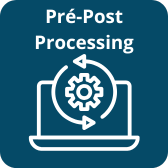 Logo des logiciels de pré et post processing distribués par DYNAS+